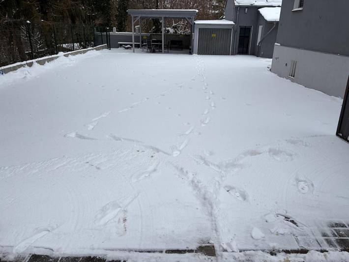 Ferienwohnung für 2 Personen, mit Haustier in Ferch - 2