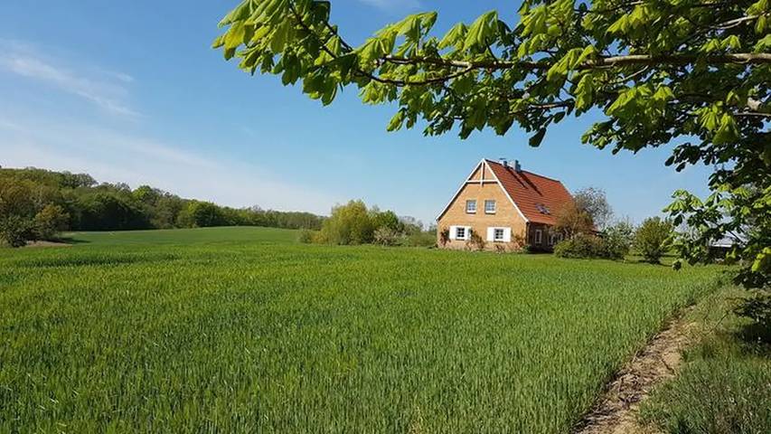 Holiday apartment for 4 people, with garden - 1