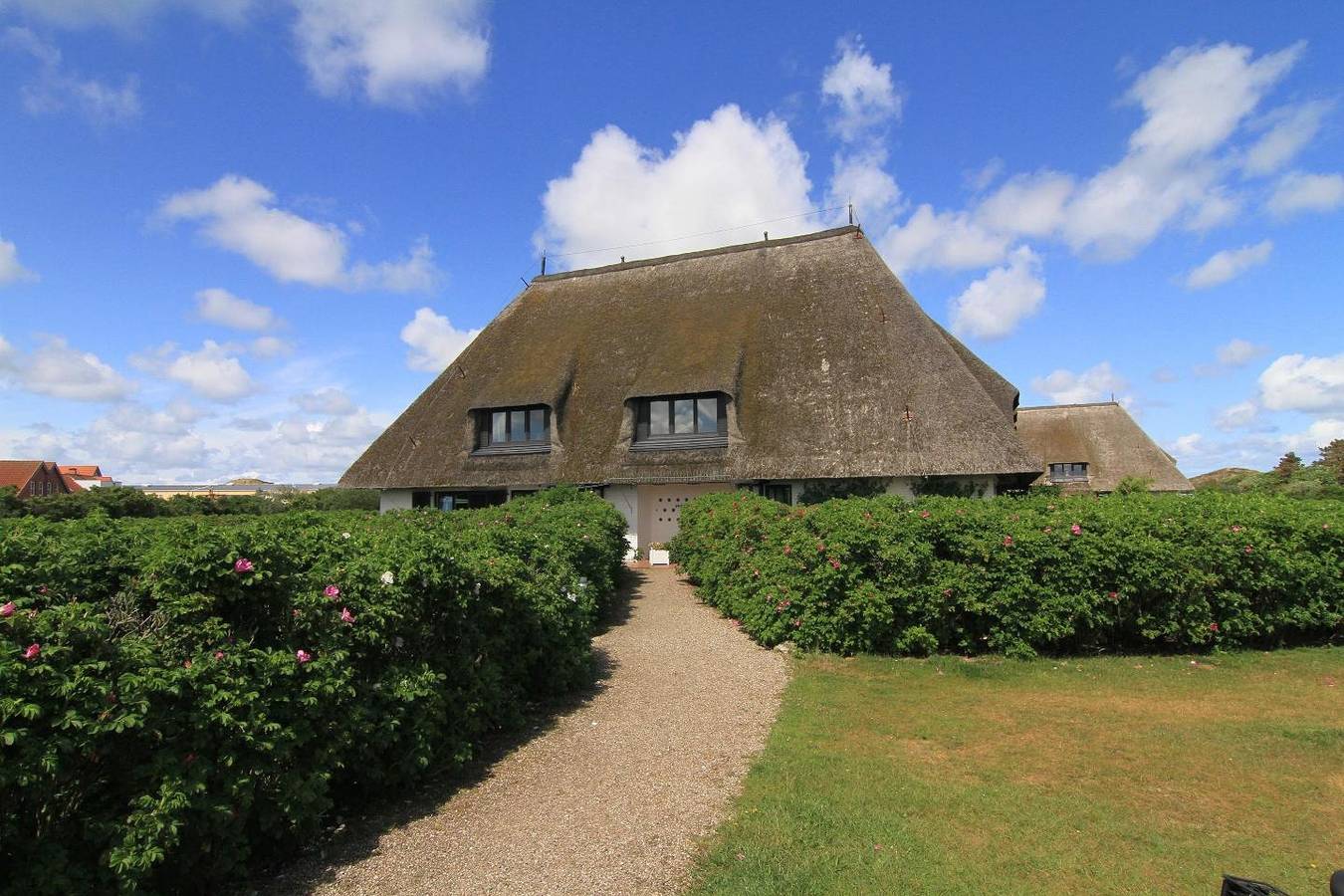 Ganze Wohnung, Gemütliche 1-Zimmer Ferienwohnung unter Reet mit ca. 32 m² für bis zu 2 Personen in Wenningstedt, Sylt