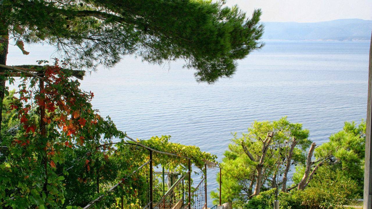 Ganzes Studio, Studio für 2 Personen (16 m²) in Marušići in Marusici, Split-Dalmatien