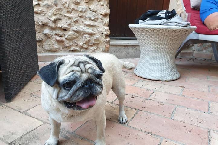 Chalet para 4 personas, con jardín, Se admiten mascotas - 1