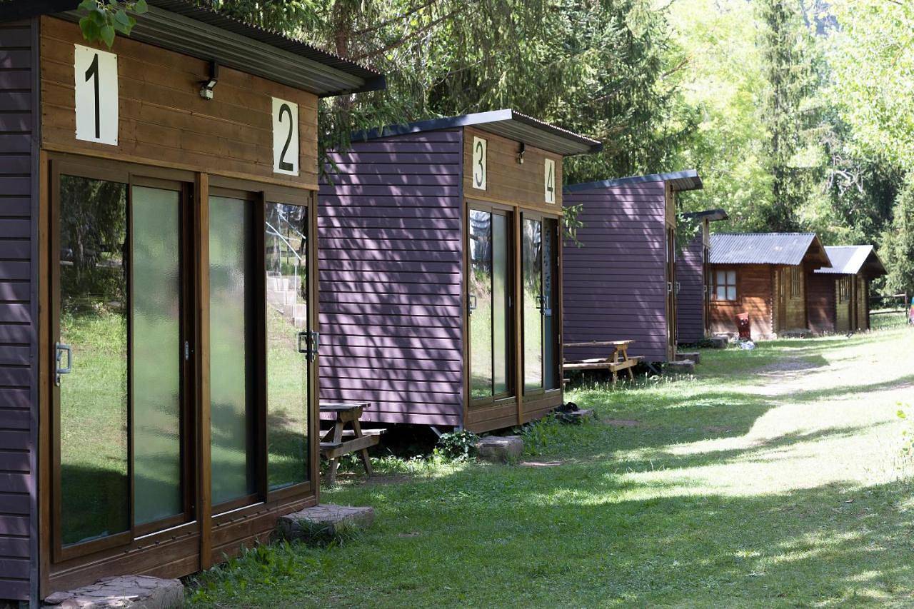Camping Alta Ribagorça in Pont de Suert, Alta Ribagorça
