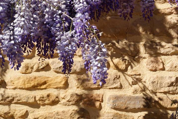 Location de vacances pour 2 personnes, avec vue ainsi que jardin et piscine à Saint-Germain-Nuelles - 3