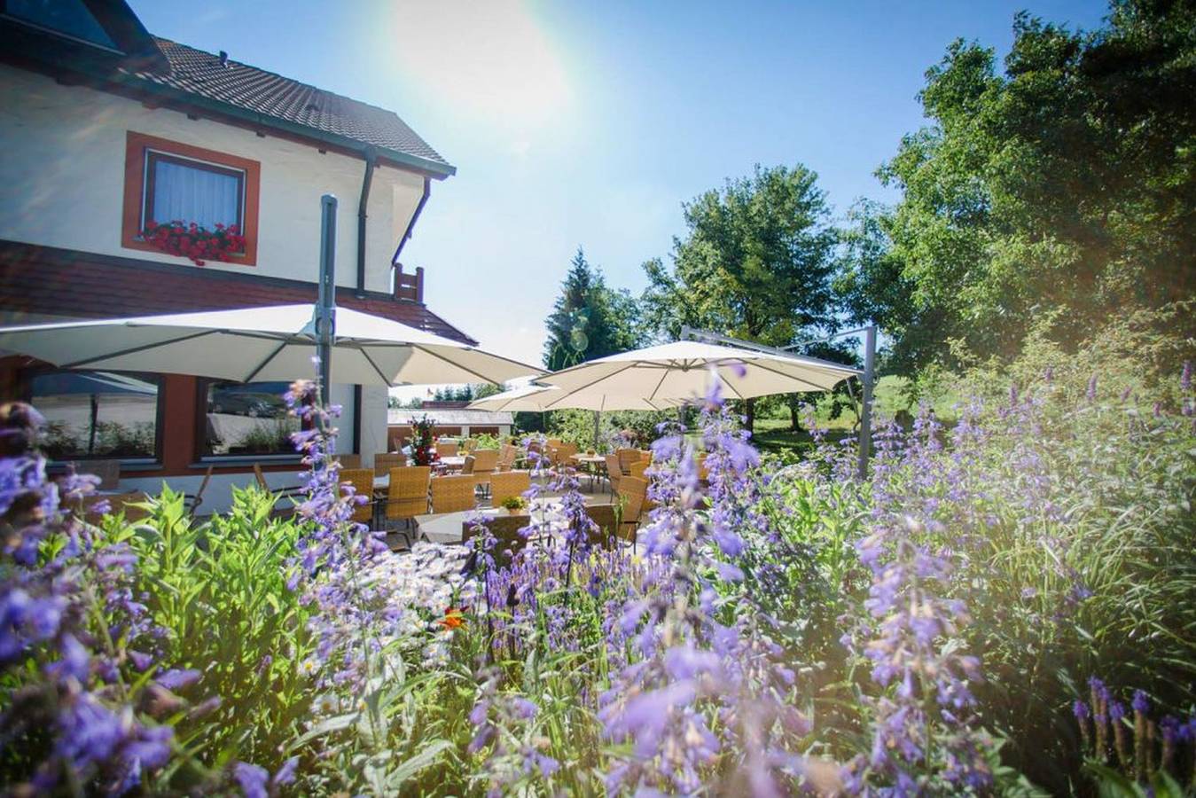 Gasthof zum Adler Leitishofen - Doppelzimmer "Standard", mit Dusche, Wc und Wlan in Meßkirch, Region Bodensee-Oberschwaben