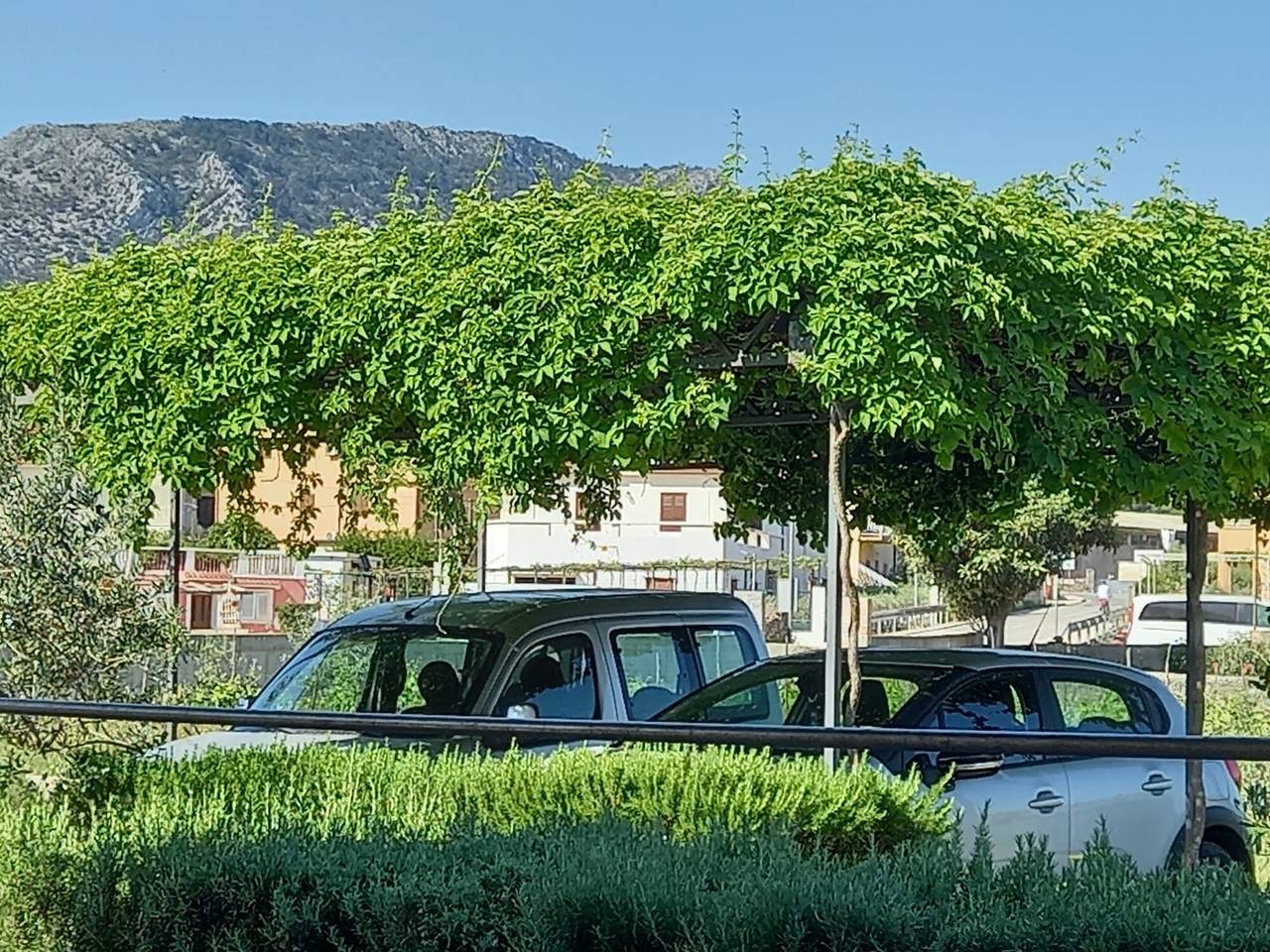 Appartement entier, Apartment Buncuga in Jelsa, Hvar