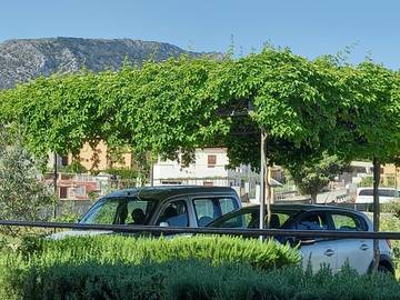 Ferieleilighet til 4 Personer i Jelsa, Split-Dalmatia, Bilde 2