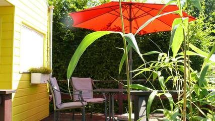 Camping for 3 People in Visselhövede, Lower Saxony, Photo 2