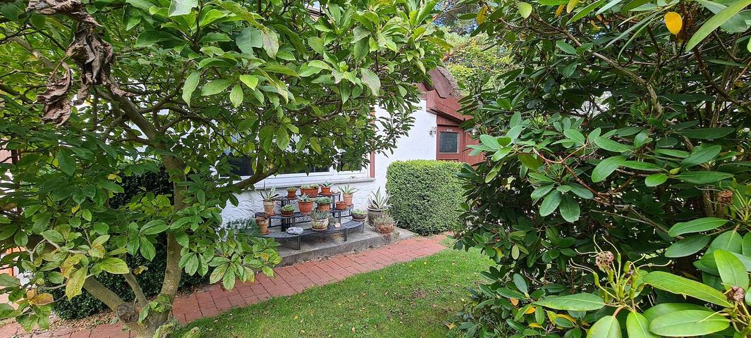 Ferienhaus für 5 Personen, mit Terrasse in Dierhagen - 2