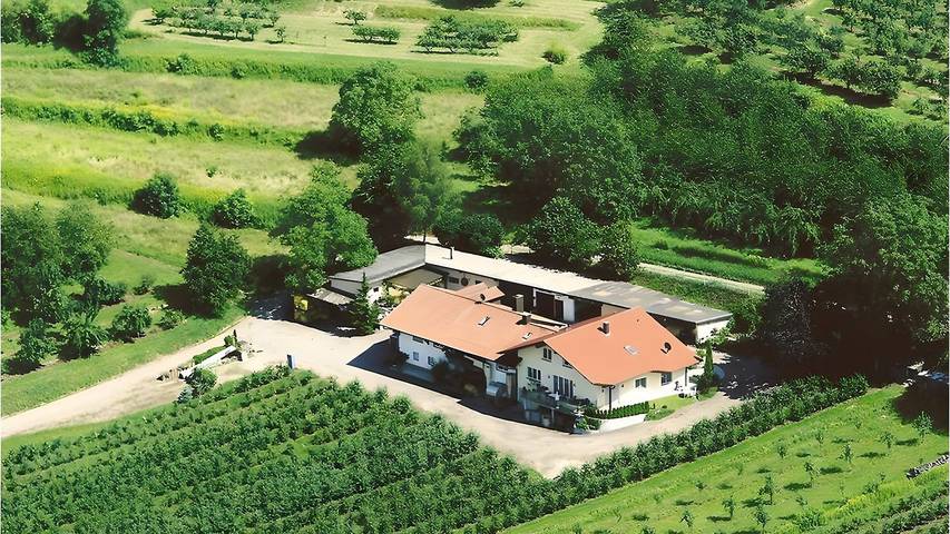 Vakantiewoning voor 6 personen in Herbolzheim