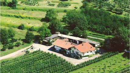 Ferienwohnung für 6 Personen in Herbolzheim