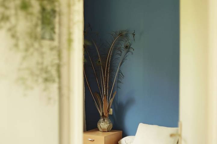 Location de vacances pour 10 personnes, avec jacuzzi et jardin à Montolieu - 3