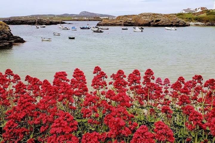 Holiday rental for 6 people, with garden in Trearddur Bay