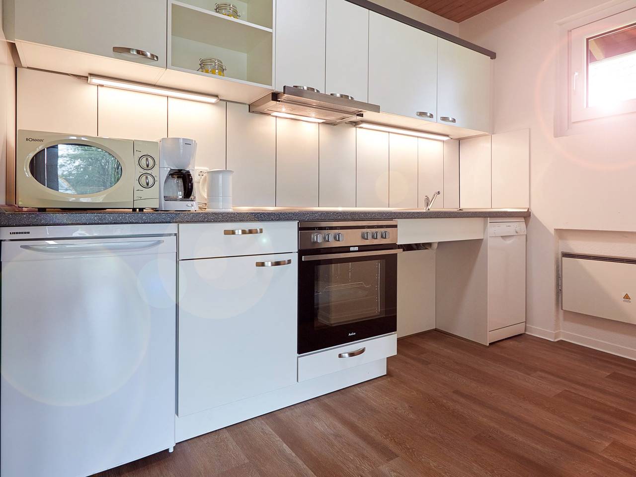 Ganze Wohnung, Blockhaus im Ferienhauspark Asgard in Ostseebad Damp, Damp