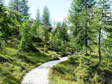 Villa per 9 Persone in Stenico, Trentino, Foto 2