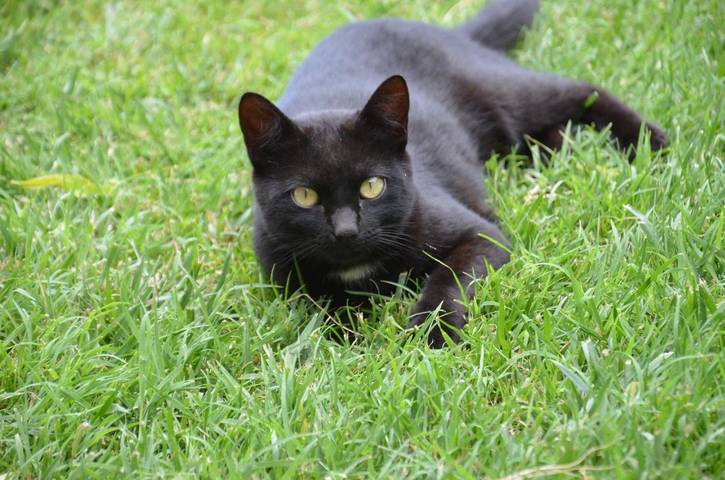 Casa rural para 8 personas, con balcón y vistas en Matarraña - 2