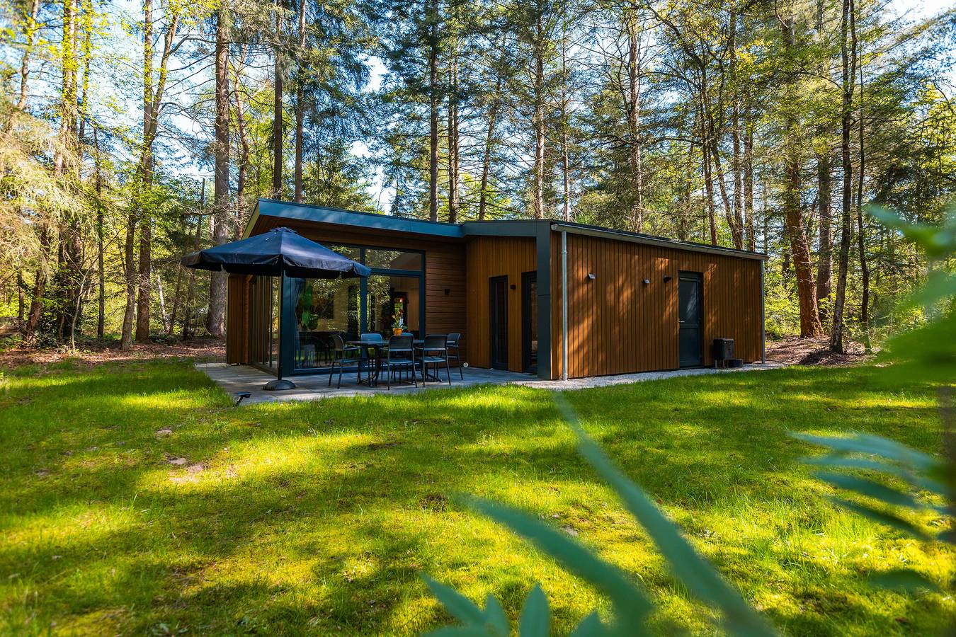 Vakantiepark De Wiltzangh — Zandborg Lodge | 6 personen in Nationaal Park Dwingelderveld