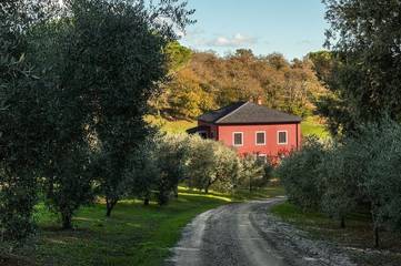 Agriturismo per 12 Persone in Bracciano, Lago di Bracciano, Foto 1