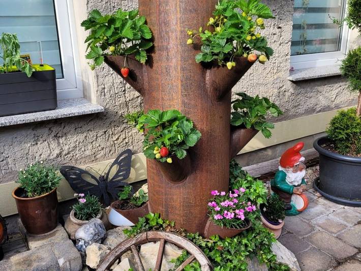 Ferienwohnung für 4 Personen in Saale-Unstrut - 3
