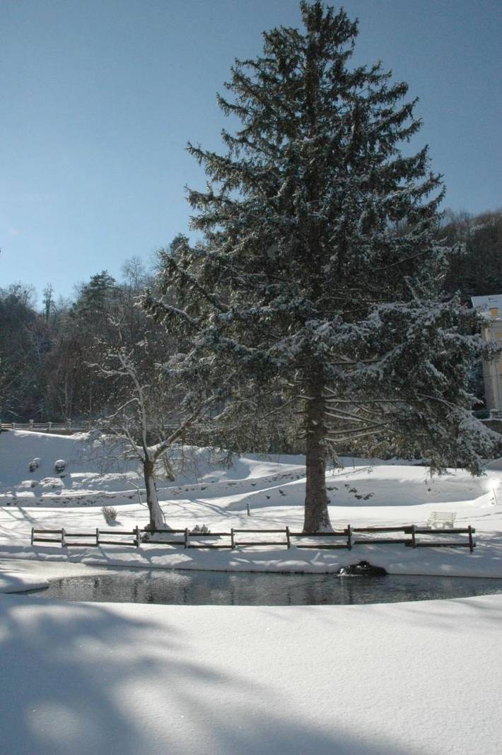 Location de vacances pour 2 personnes, avec jardin ainsi que jacuzzi et sauna à Luz-Saint-Sauveur - 4