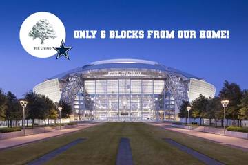 Vacation Rental for 10 Guests in Arlington, Tarrant County, Picture 1