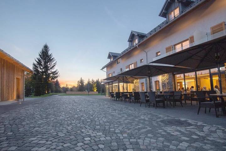 Hotel, mit Balkon und Terrasse sowie Garten und Sauna in Schöneck (Sachsen) - 2