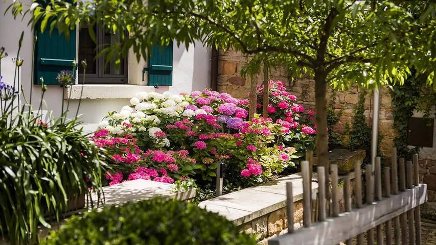 Ferienwohnung für 3 Personen, mit Garten und Terrasse in Neustadt an der Weinstraße - 4