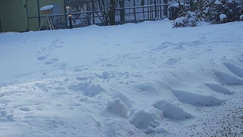 Ferienwohnung für 8 Personen in Obertrubach - 3