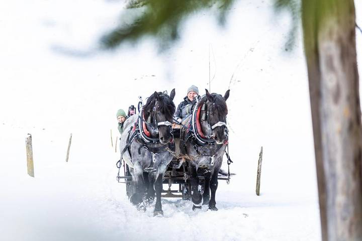 Gîte pour 6 personnes, avec jardin et vue à Bezau - 3