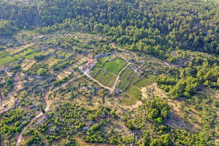 Ferienhaus für 10 Personen, mit Balkon/Terrasse, mit Haustier auf Hvar - 3