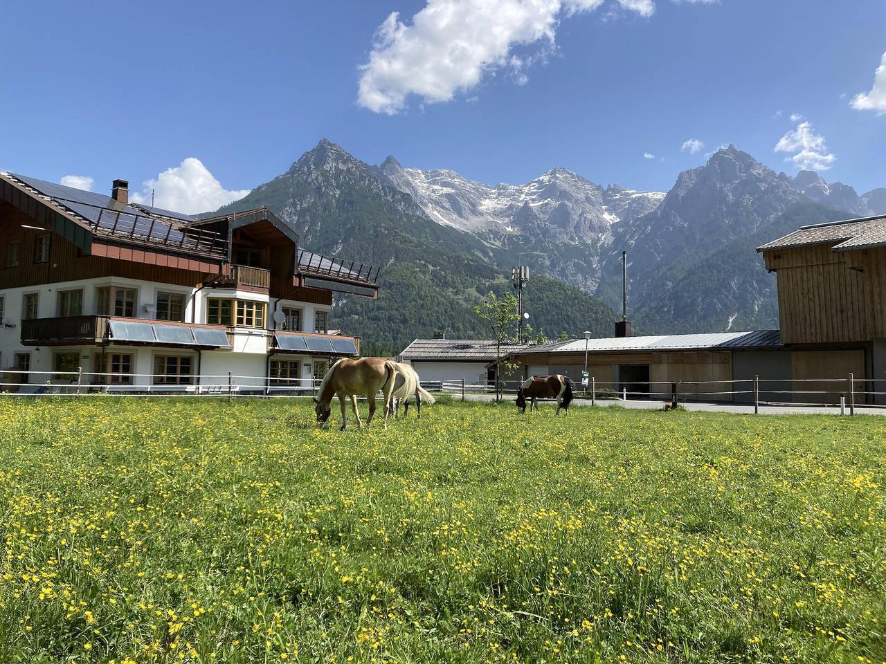 Ganze Ferienwohnung, 6-Personenwohnung - B in Loferer und Leoganger Steinberge, Sankt Ulrich am Pillersee