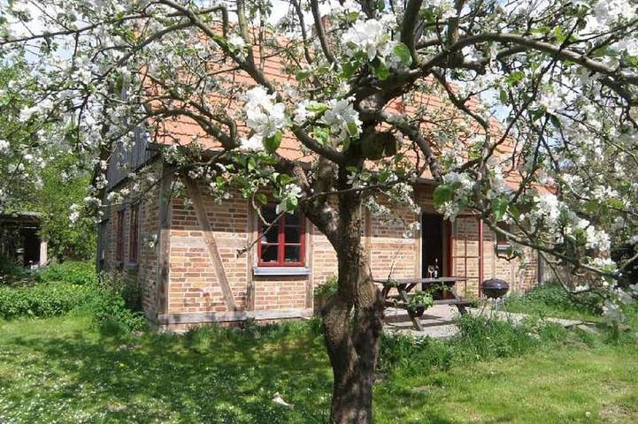 Ferienhaus für 5 Personen, mit Garten in Moltzow