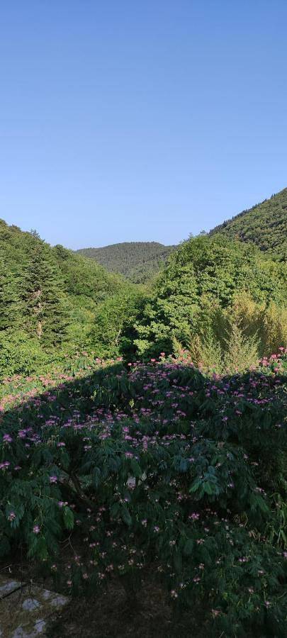 Double Room with Mountain View in Lunas, Région de Lodève