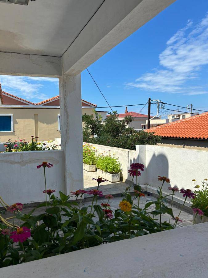 Anthemis Studios in North Aegean Islands