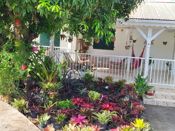 Holiday apartment for 2 people, with terrace and view as well as garden - 1