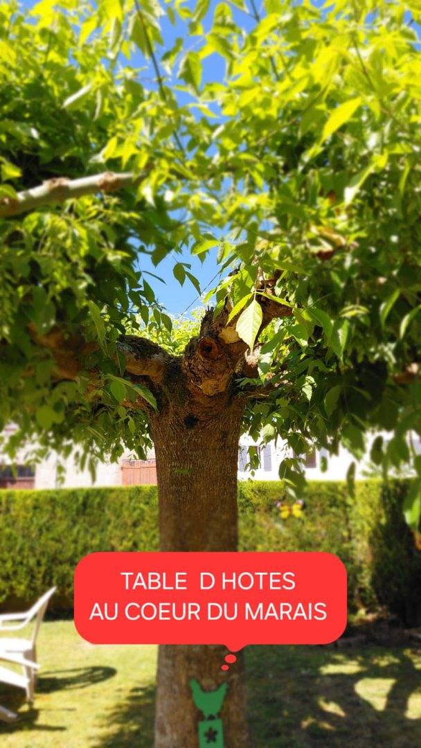 Gîte pour 2 personnes, avec jardin dans les Deux-Sèvres - 2