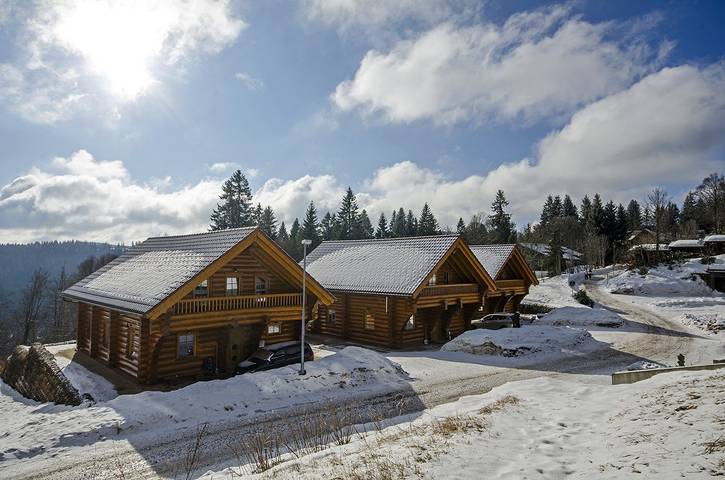 Ferienhaus für 14 Personen, mit Sauna und Terrasse sowie Balkon/Terrasse, mit Haustier in Feldberg - 2