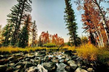 Vacation Home for 2 Guests in Utah, USA, Picture 3