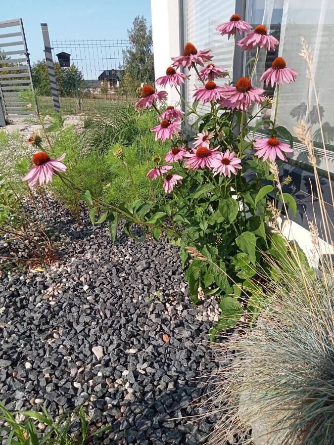 Perła Szotlandu Ii in Władysławowo, Morze Bałtyckie