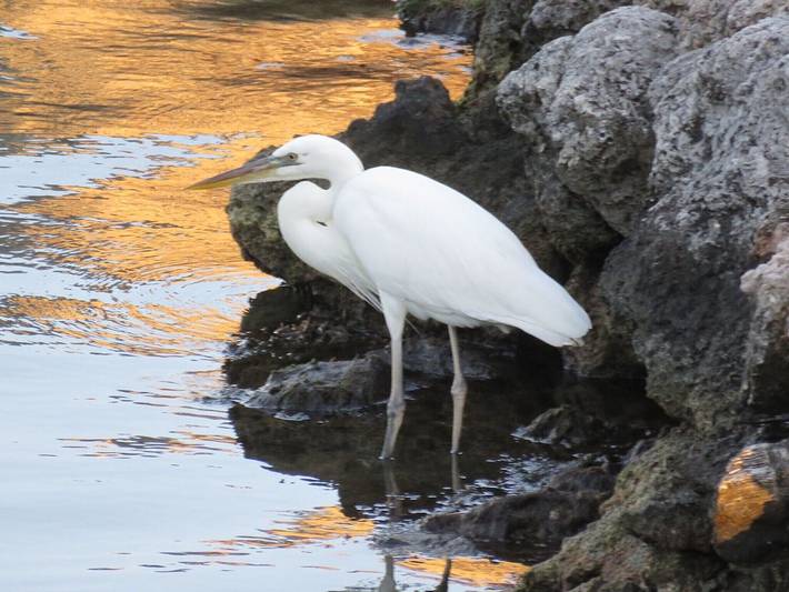 Villa for 4 people, with garden and terrace in Florida Keys