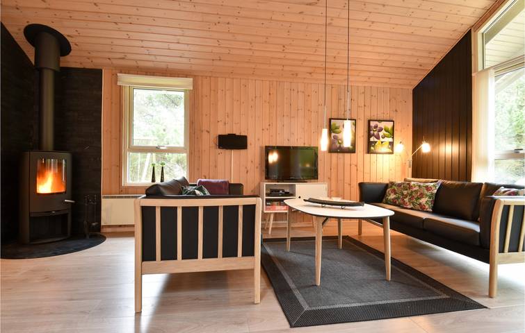 Ferienhaus für 8 Personen, mit Sauna und Terrasse sowie Whirlpool und Garten in Houvig - 3