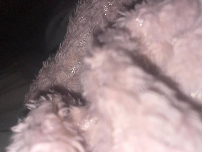 Gîte pour 2 personnes, avec balcon à Gourbeyre - 2