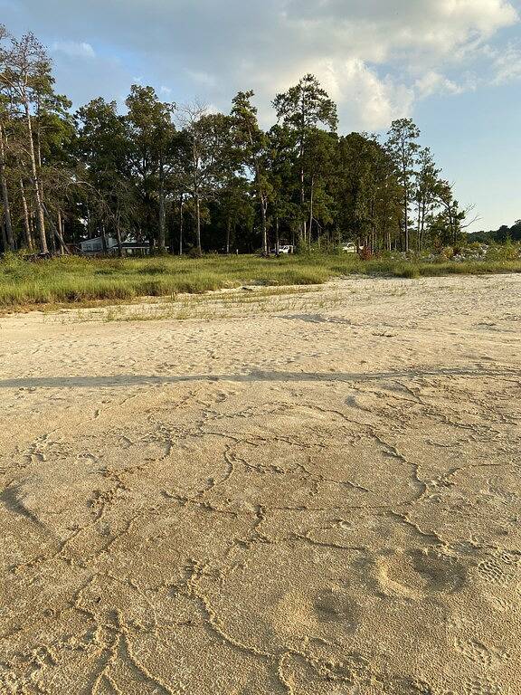 Wooded Bliss at Lake Sam Rayburn in Sam Rayburn Reservoir