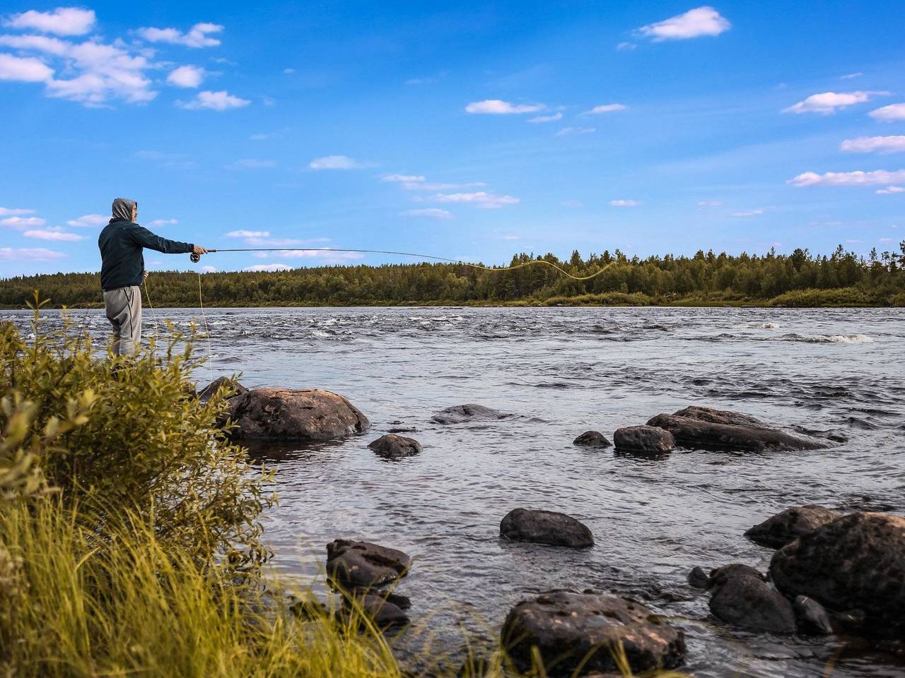 Luongasloma 2 in Lappland