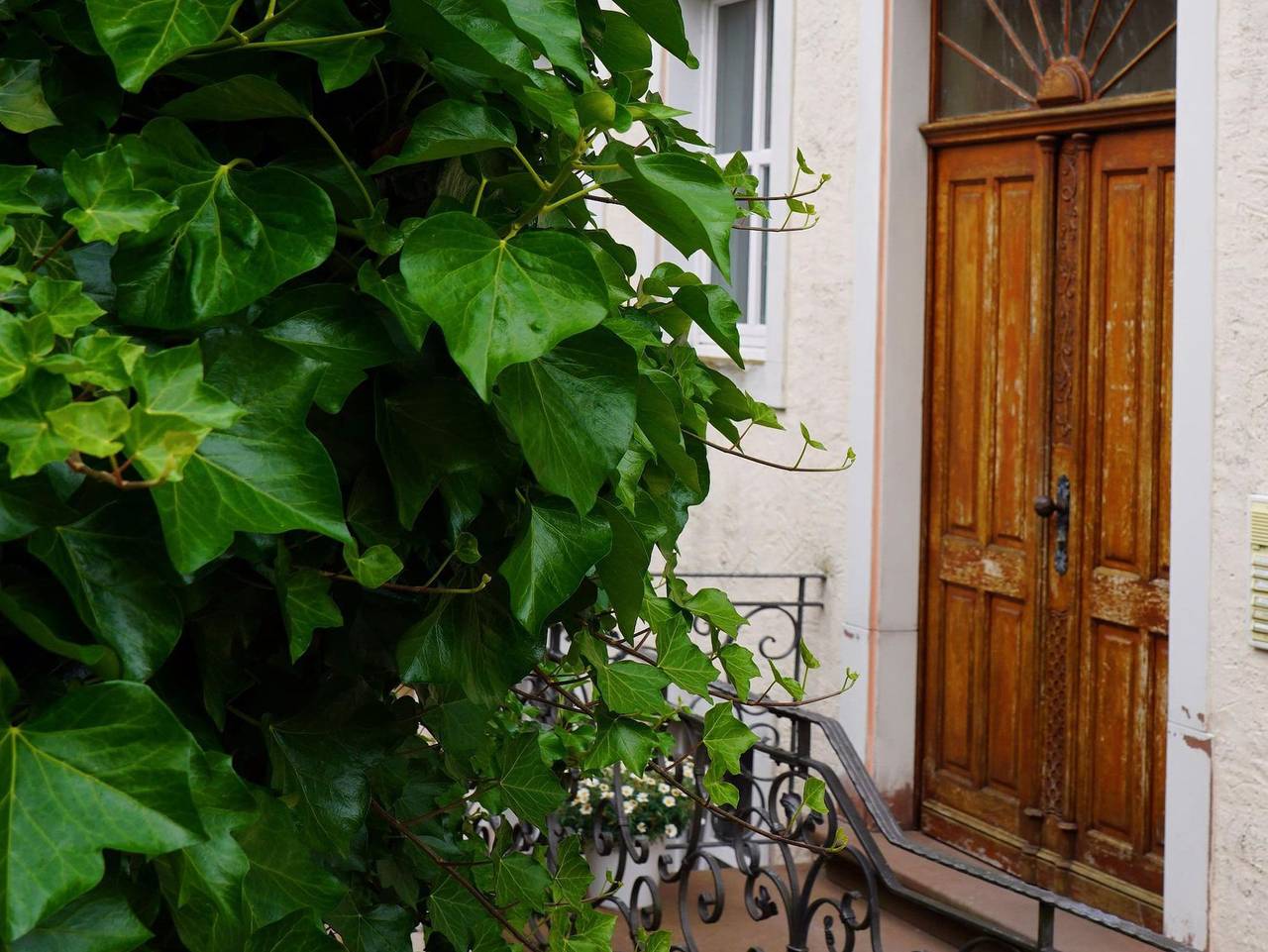 Ganze Ferienwohnung, Eifel Fewo in Neuerburg, Eifelkreis Bitburg-Prüm
