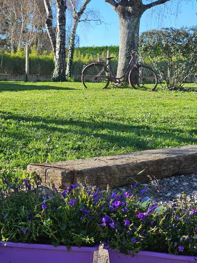 Location de vacances pour 6 personnes, avec vue et jardin, animaux acceptés à Seur - 4