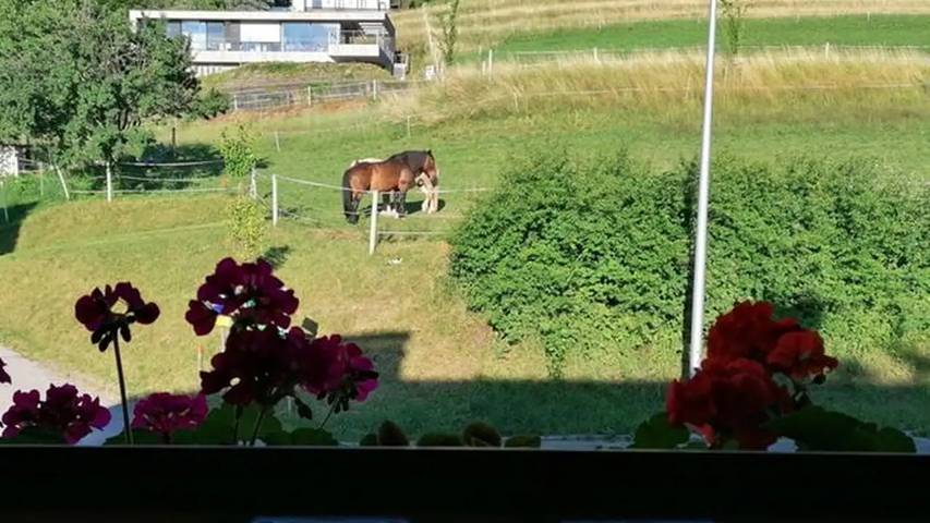 Ferienwohnung für 3 Personen, mit Garten am Attersee - 4