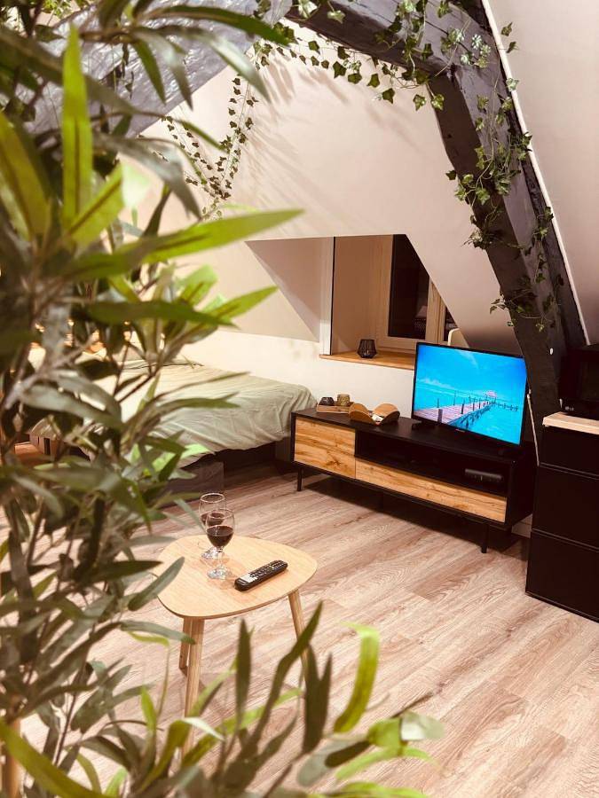 Appartement entier, L' Urban Jungle - Evasion en centre-ville in Rouen, Région de Rouen