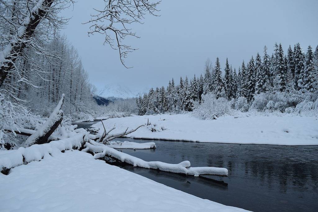 Ganze Wohnung, Renovierte Wohnung mit Blick auf die Berge, Zugang zum Wandern und Skifahren in Girdwood, Anchorage