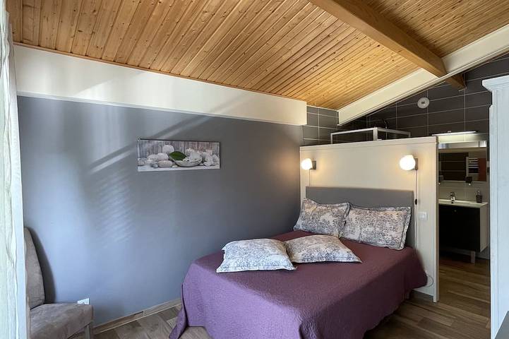 Gîte pour 10 personnes, avec jardin et jacuzzi à Laruscade - 3