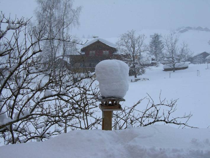 Ferienwohnung für 6 Personen, mit Ausblick und Garten, kinderfreundlich in Schoppernau - 2